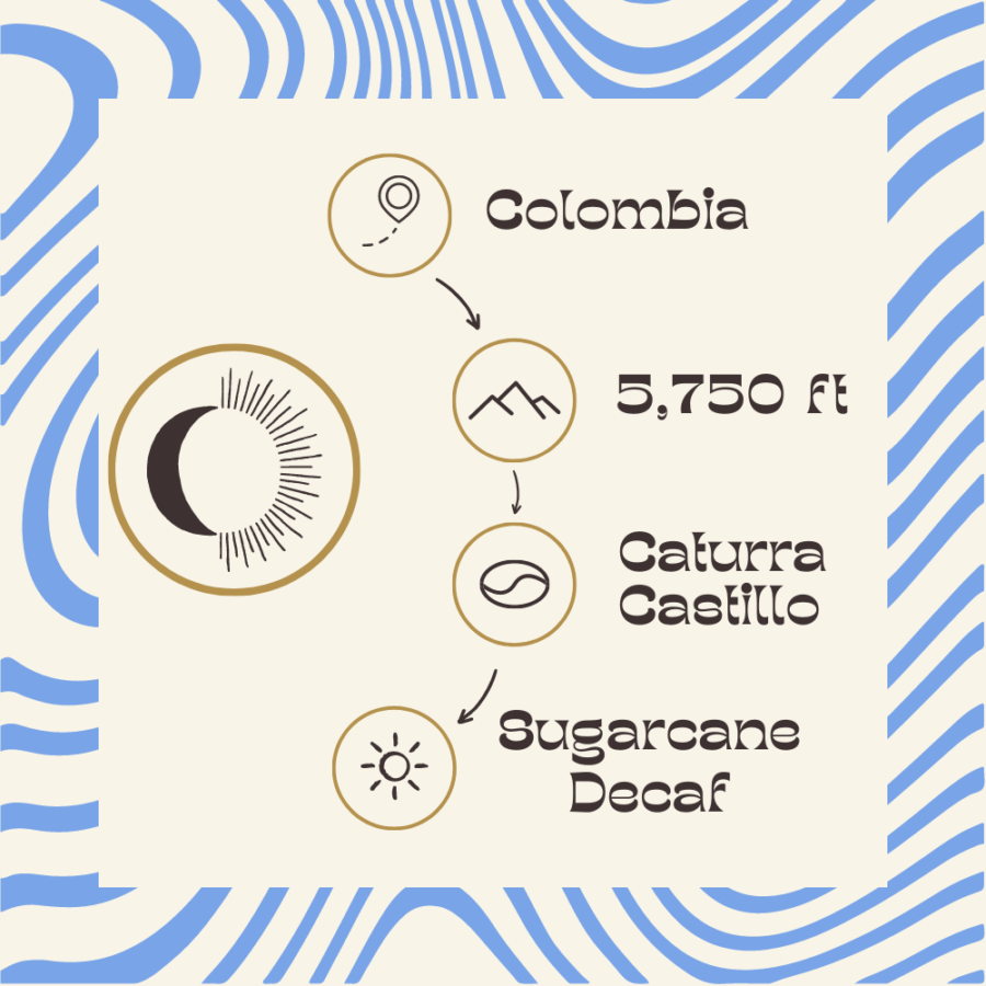 Relax - Colombia Single Origin Decaf Coffee