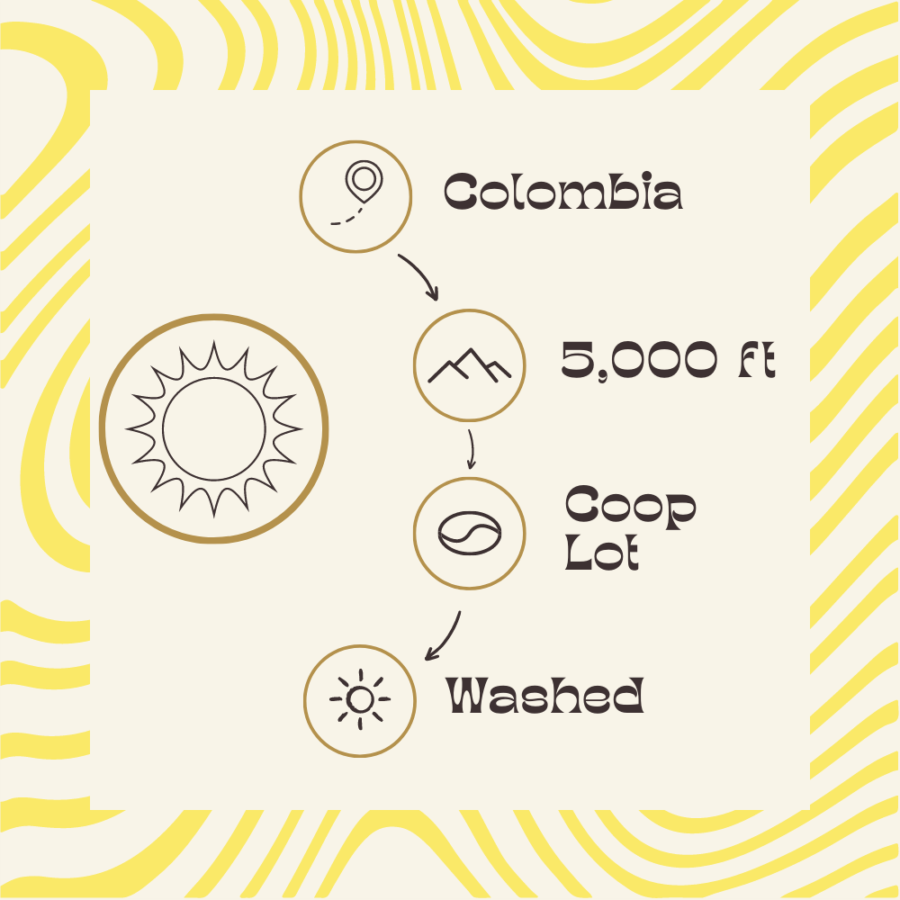Awaken - Colombia Single Origin Coffee