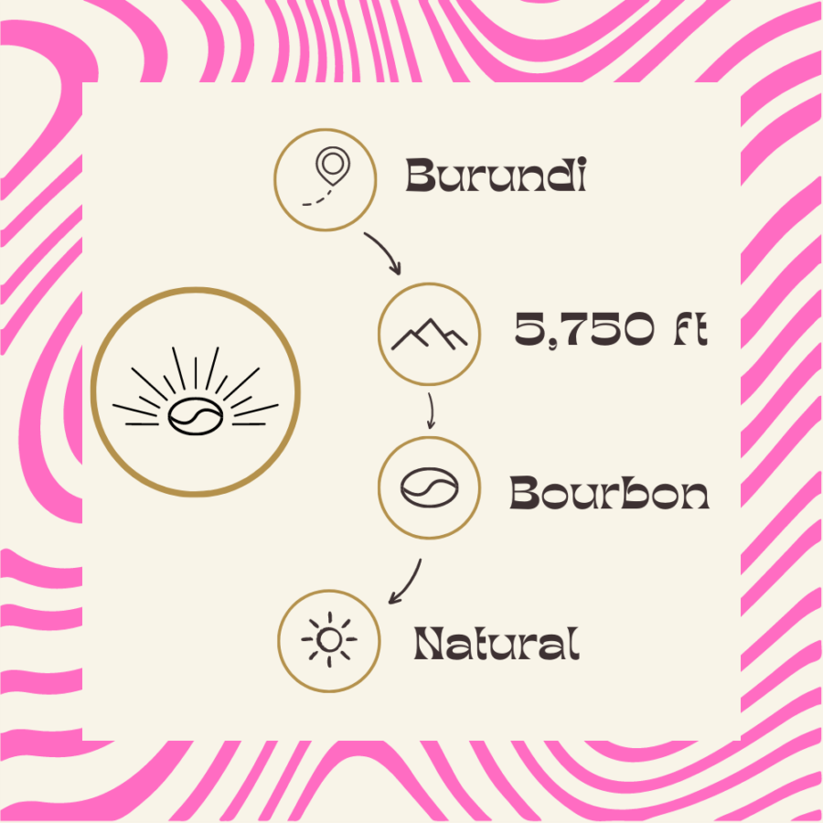 Terroir - Burundi Single Origin Coffee
