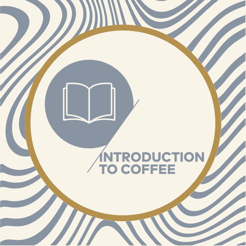 SCA INTRODUCTION TO COFFEE